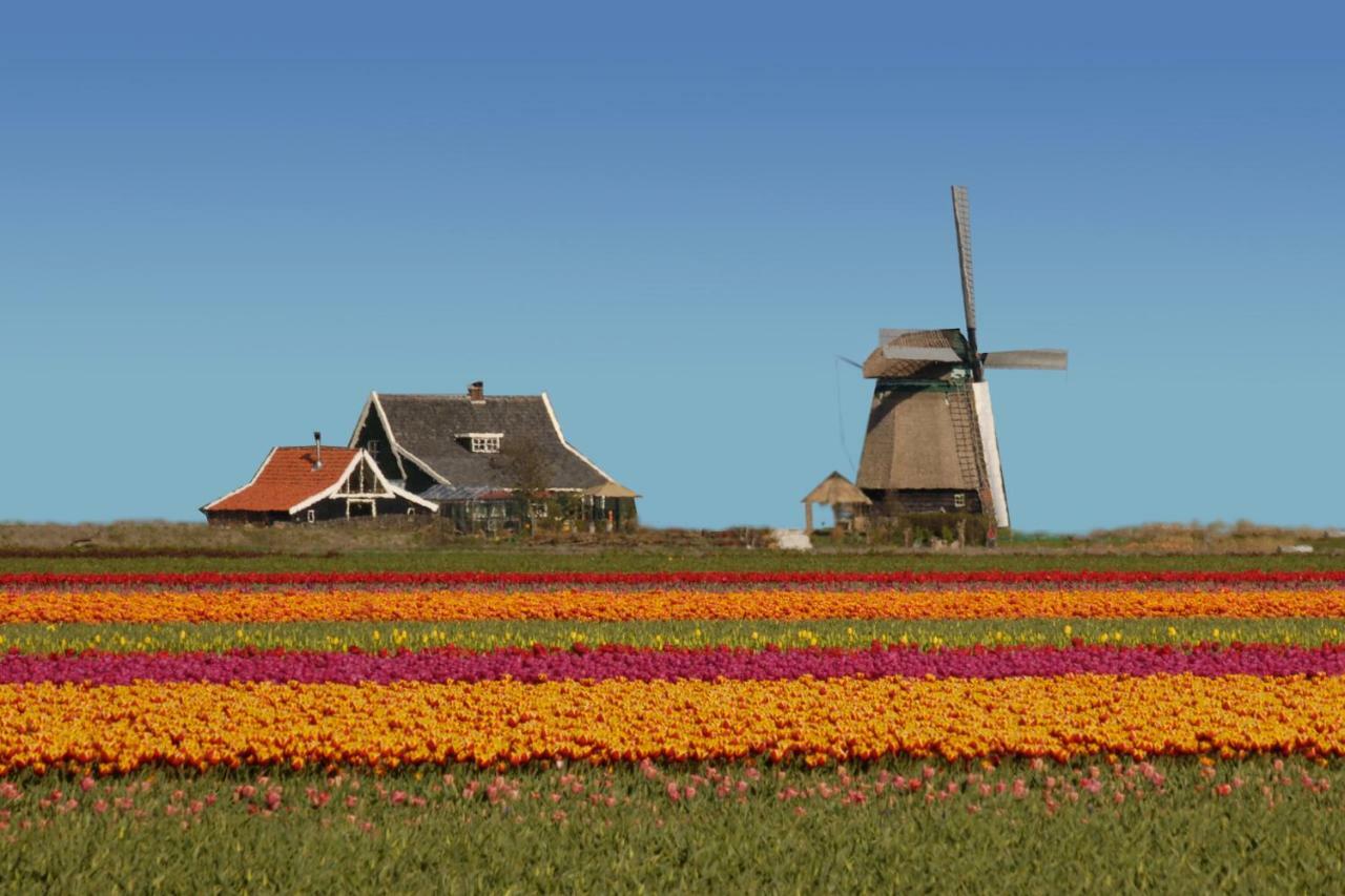 Het Dobbertje, Charmant Houten Huisje Sint Maartensvlotbrug Exterior foto